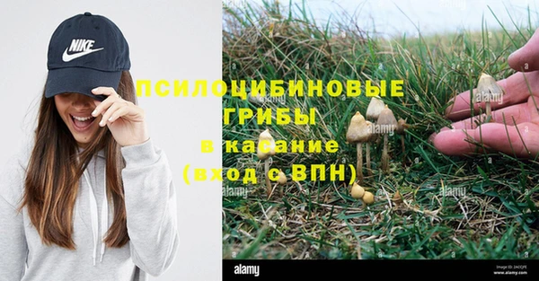 крисы Алексеевка