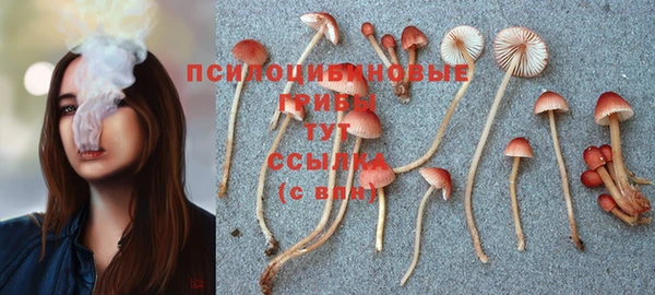 прущий лед Алексин