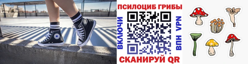 omg ссылки Хвалынск Псилоцибиновые грибы MAGIC MUSHROOMS
